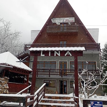 Pensiunea Lina Lepsa Exterior photo